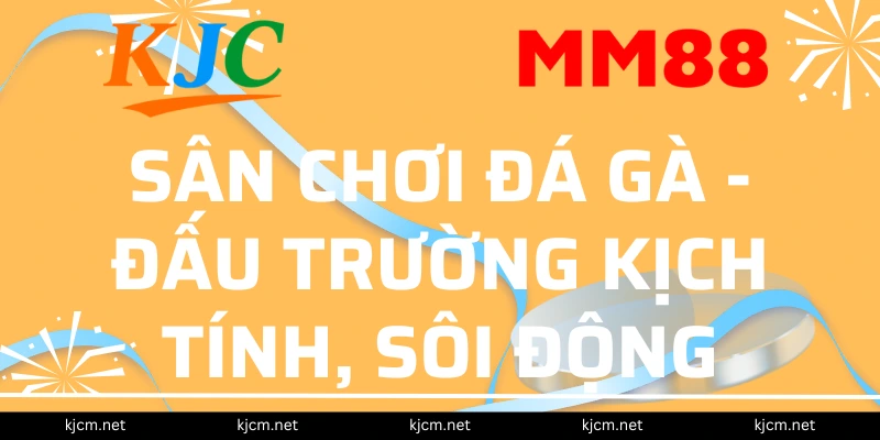 Sân chơi đá gà - Đấu trường kịch tính, sôi động